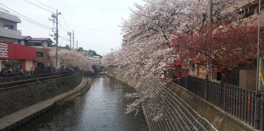 ☆ゴールデンウィークのご案内☆